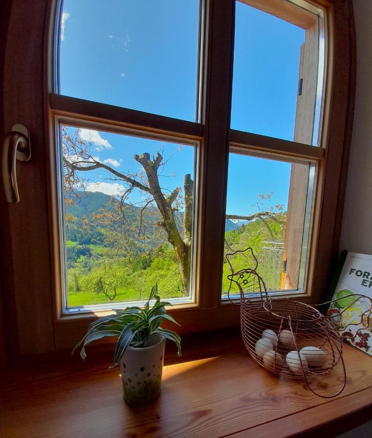 B&B Chalet Dolomiti Sant'Orsola Exteriér fotografie