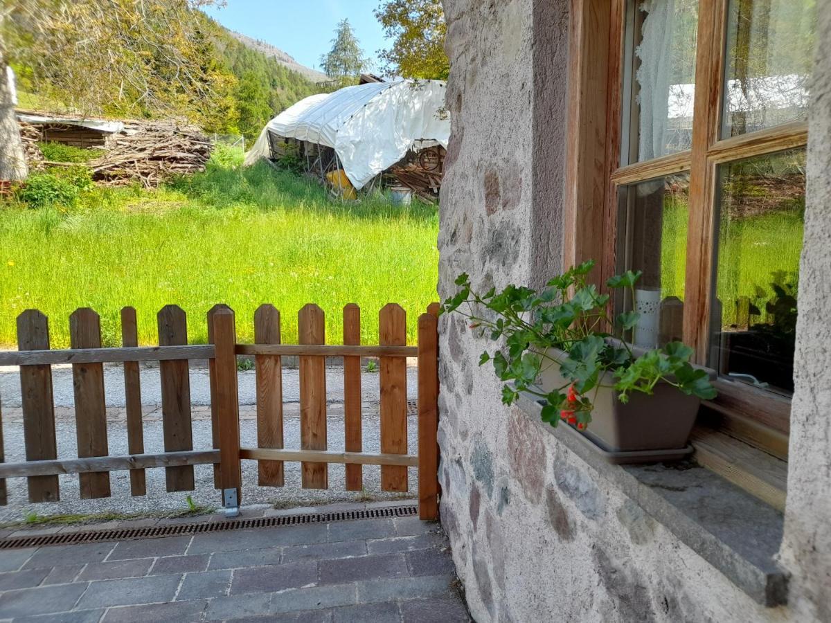 B&B Chalet Dolomiti Sant'Orsola Exteriér fotografie