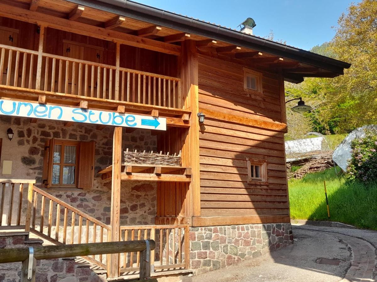 B&B Chalet Dolomiti Sant'Orsola Exteriér fotografie