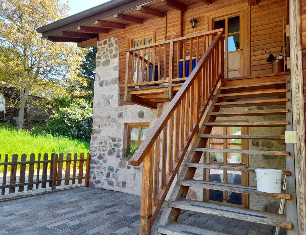 B&B Chalet Dolomiti Sant'Orsola Exteriér fotografie