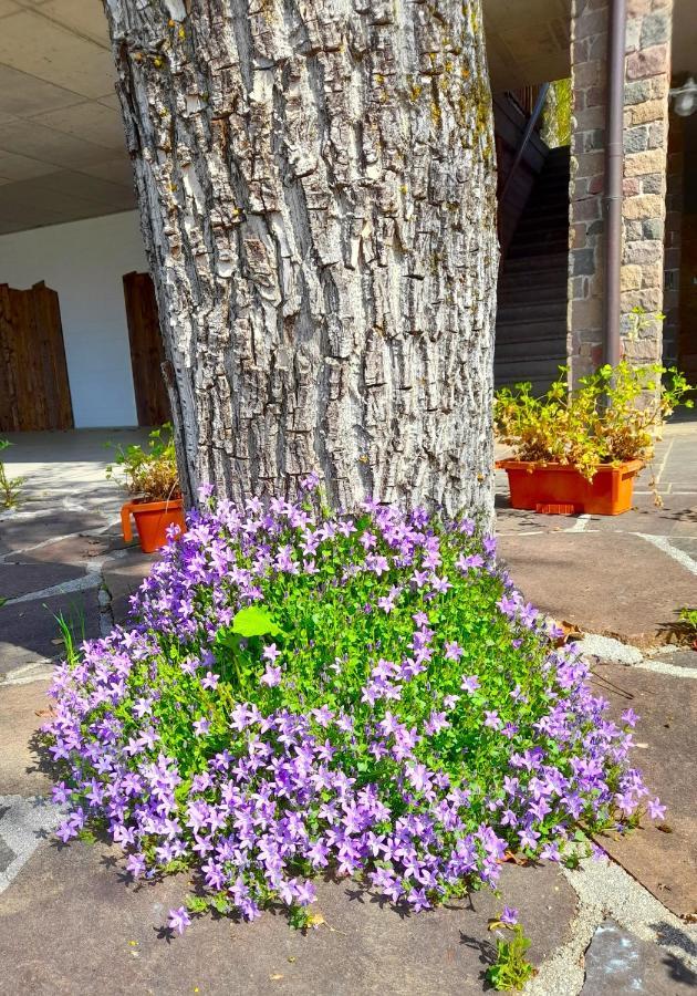 B&B Chalet Dolomiti Sant'Orsola Exteriér fotografie
